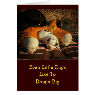 Chiots fatigués de cowboy