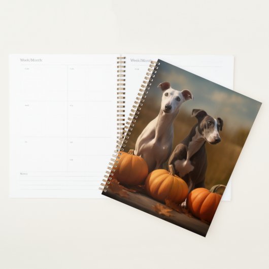 Chiots Greyhound Délice d'Automne Citrouille (Devant avec enveloppe)