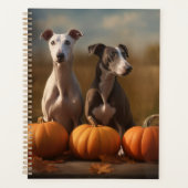 Chiots Greyhound Délice d'Automne Citrouille (Devant)