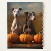 Chiots Greyhound Délice d'Automne Citrouille (Dos)