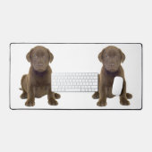 Chiots Labrador au Chocolat (Clavier et souris)