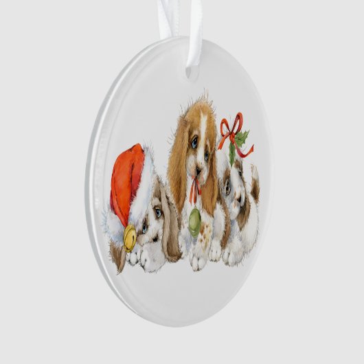 Chiots précieux (devant)