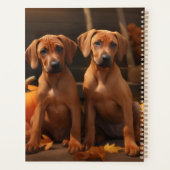 Chiots Rhodesian Ridgeback Autumn Delight Citrouil (Dos)