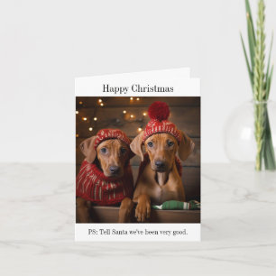 Chiots Rhodesian Ridgeback Bonne carte de Noël