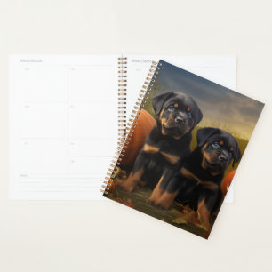 Chiots Rottweiler Délice d'Automne Citrouille