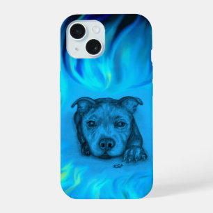 Chiots Staffy Bleu