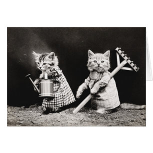 Chiots vintages et cartes de pointage Kittens