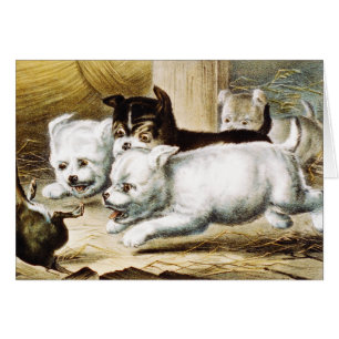 Chipies Rat Terrier - Art Vintage