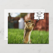 Chipmun Praying Plese ForGeef me Briefkaart (Voorkant / Achterkant)