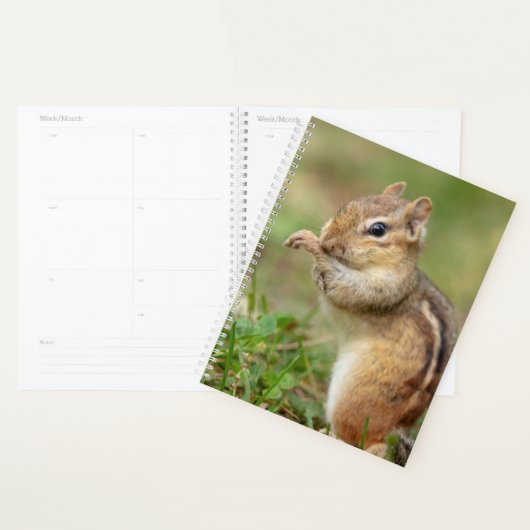 Chipmunk 2024 dans les Adirondacks (Devant avec enveloppe)
