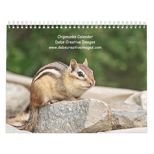 Chipmunk 2026 kalender (Hoes)