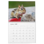 Chipmunk 2026 kalender (Jan 2027)