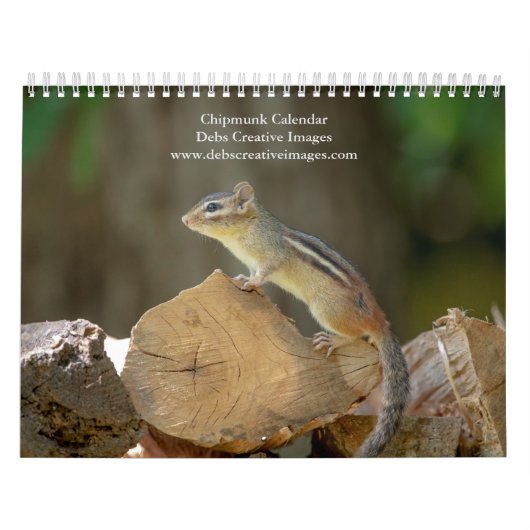 Chipmunk 2026 kalender (Hoes)