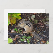 Chipmunk #2 Briefkaart (Voorkant / Achterkant)
