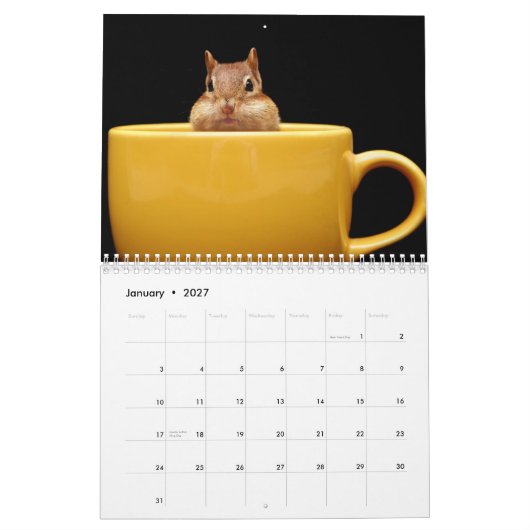 Chipmunk Adventures 2012 Calendar Kalender (Jan 2027)