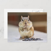 Chipmunk Afbeelding Briefkaart (Voorkant / Achterkant)