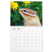 chipmunk (All country) Kalender (Mar 2027)