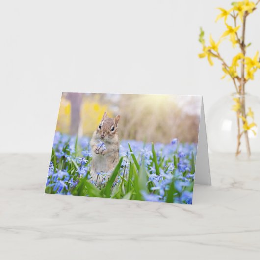 Chipmunk Avec Carte Fleur (Fleur jaune)