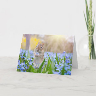 Chipmunk Avec Carte Fleur