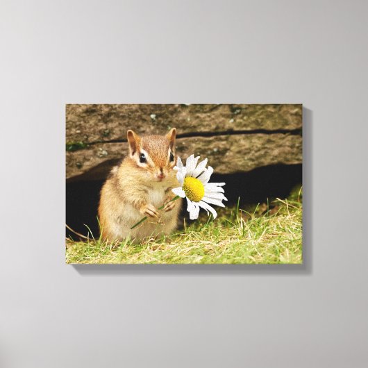 Chipmunk bébé adorable avec toile enveloppée de ma (Recto)