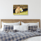 Chipmunk bébé adorable avec toile enveloppée de ma (Insitu(Chambre))