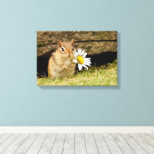 Chipmunk bébé adorable avec toile enveloppée de ma (Insitu (Plancher de Bois))
