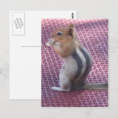 Chipmunk Briefkaart (Voorkant / Achterkant)