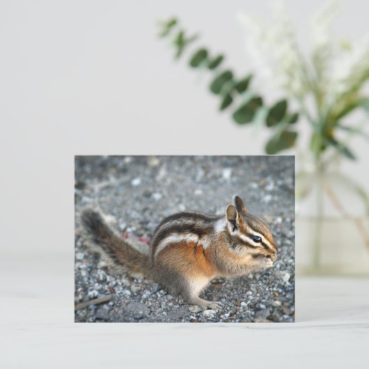 Chipmunk Briefkaart (Staand voorkant)