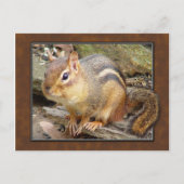 Chipmunk Briefkaart (Voorkant)