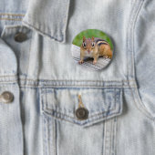 Chipmunk Button (In situ)