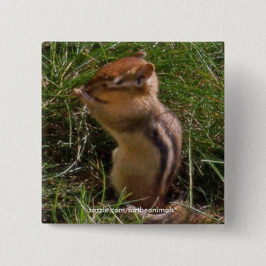 Chipmunk-Button Vierkante Button 5,1 Cm (Voorkant)