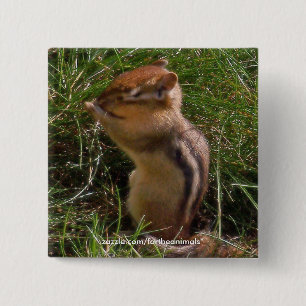 Chipmunk-Button Vierkante Button 5,1 Cm