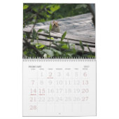 Chipmunk Calendar Kalender (Feb 2027)