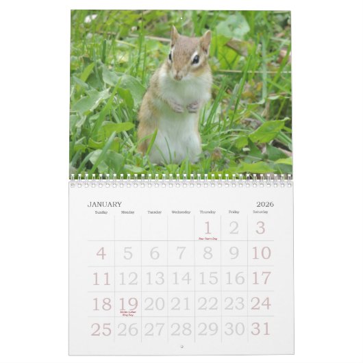 Chipmunk Calendar Kalender (Jan 2026)