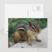Chipmunk Cheeks Briefkaart (Voorkant / Achterkant)