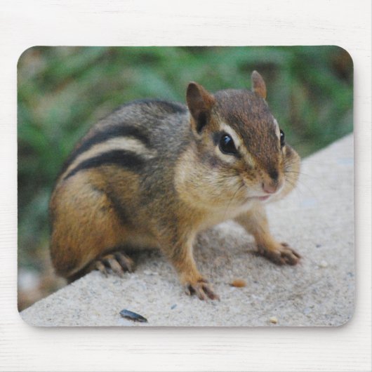 Chipmunk Cheeks Muismat (Voorkant)