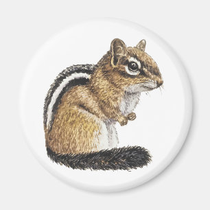 Chipmunk Cutie Magneet