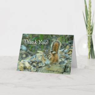 Chipmunk dans le Merci du parc national des Glacie