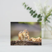 Chipmunk die een pinda eet briefkaart (Staand voorkant)