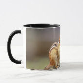 Chipmunk die een pinda eet mok (Links)