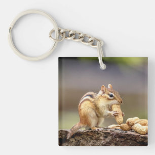 Chipmunk die een pinda eet sleutelhanger