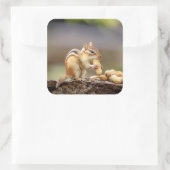 Chipmunk die een pinda eet vierkante sticker (Tas)
