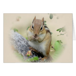 Chipmunk Eating
