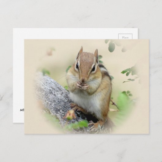 Chipmunk Eating Briefkaart (Voorkant / Achterkant)