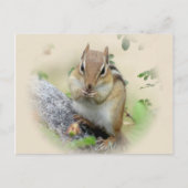 Chipmunk Eating Briefkaart (Voorkant)
