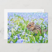 Chipmunk en Blue Spring Flowers Briefkaart (Voorkant / Achterkant)