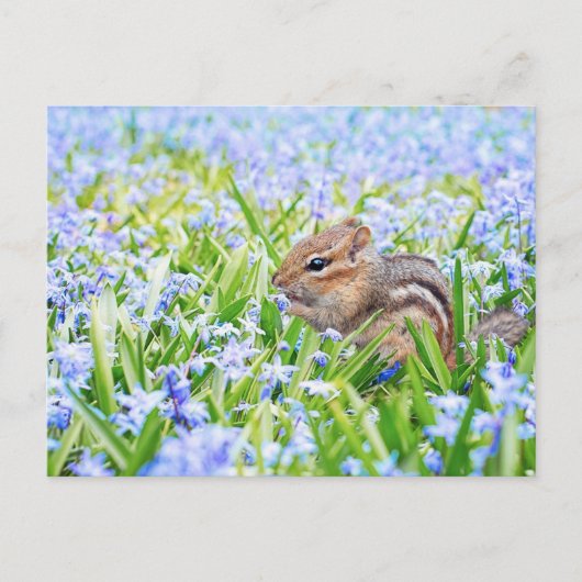 Chipmunk en Blue Spring Flowers Briefkaart (Voorkant)