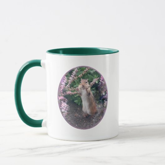 Chipmunk en Salvia Mok (Links)
