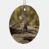 Chipmunk, faune, ornement (Droite)