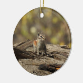 Chipmunk, faune, ornement (Gauche)